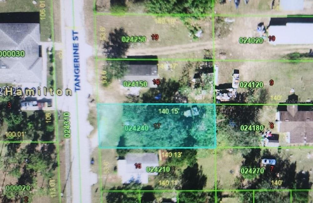 TANGERINE STREET, Haines City, FL 33844