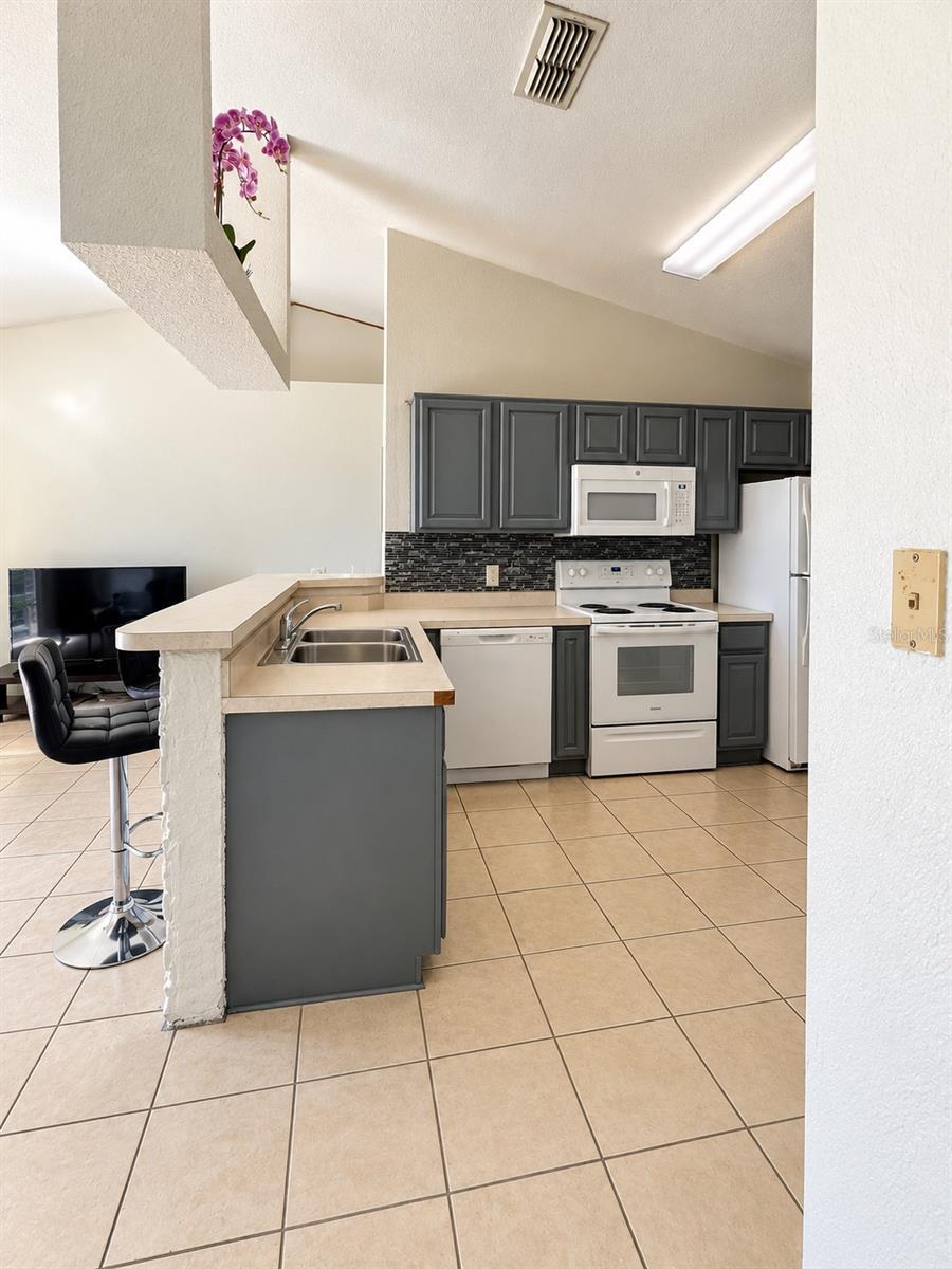 239 GREAT YARMOUTH COURT, Kissimmee, FL 34758