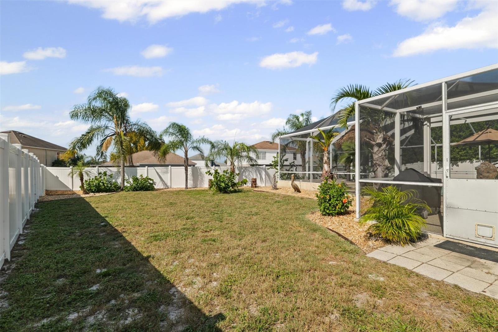 Backyard/Exterior - Landscaped with Mature Palms