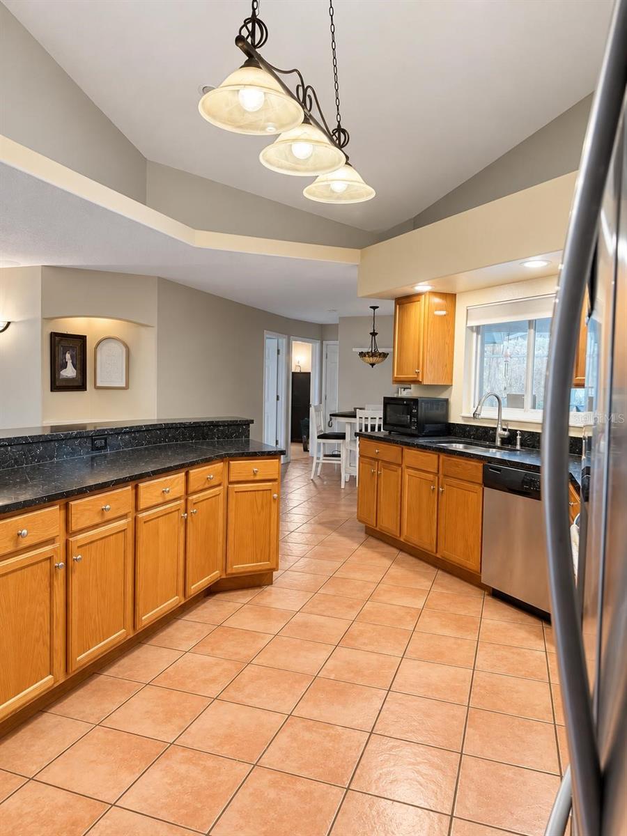 1350 HIDDEN HARBOR LANE, Kissimmee, FL 34746