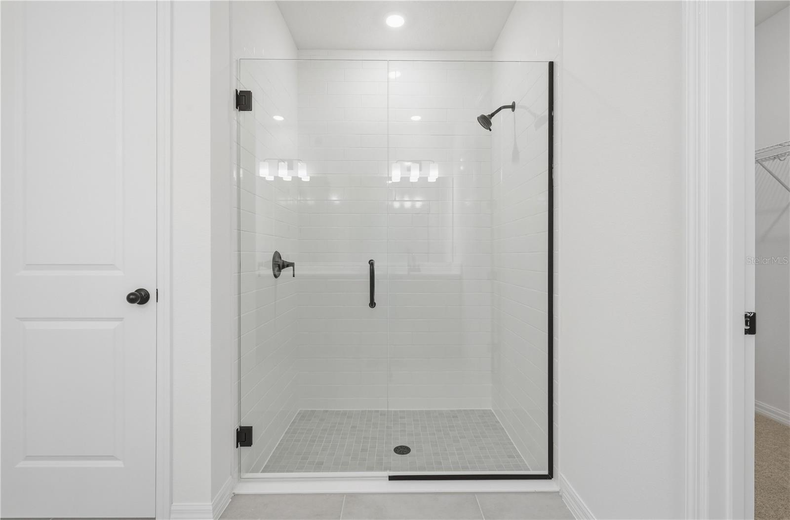 30169 EMERALD FOREST DRIVE, Mount Dora, FL 32757