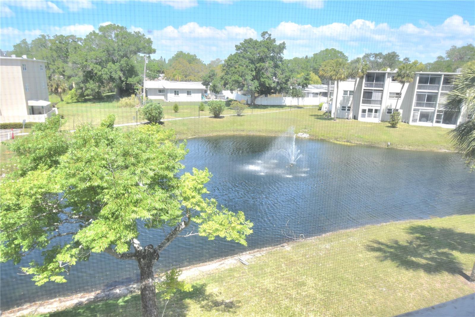 940 VIRGINIA STREET, #304, Dunedin, FL 34698