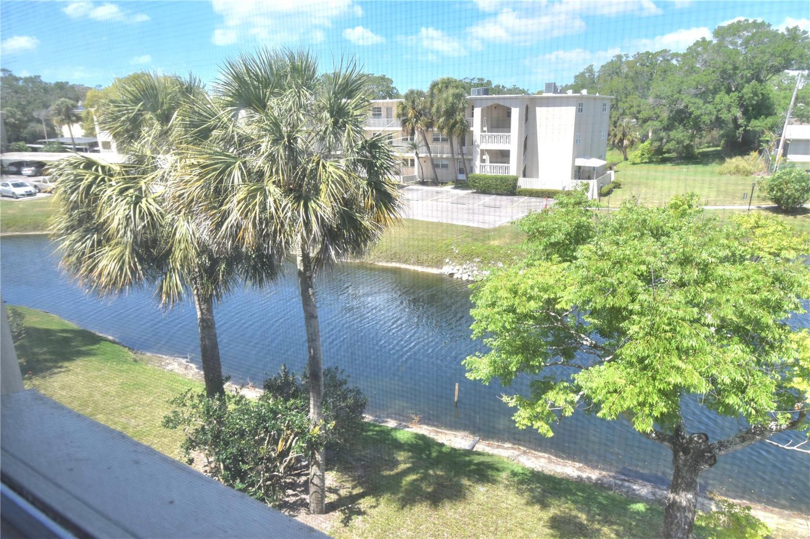 940 VIRGINIA STREET, #304, Dunedin, FL 34698