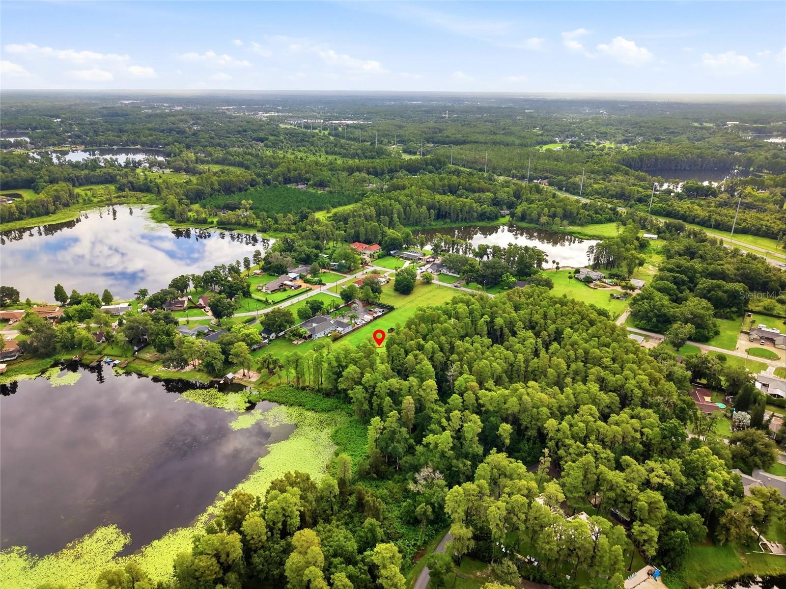 19218 BLOUNT ROAD, Lutz, FL 33558
