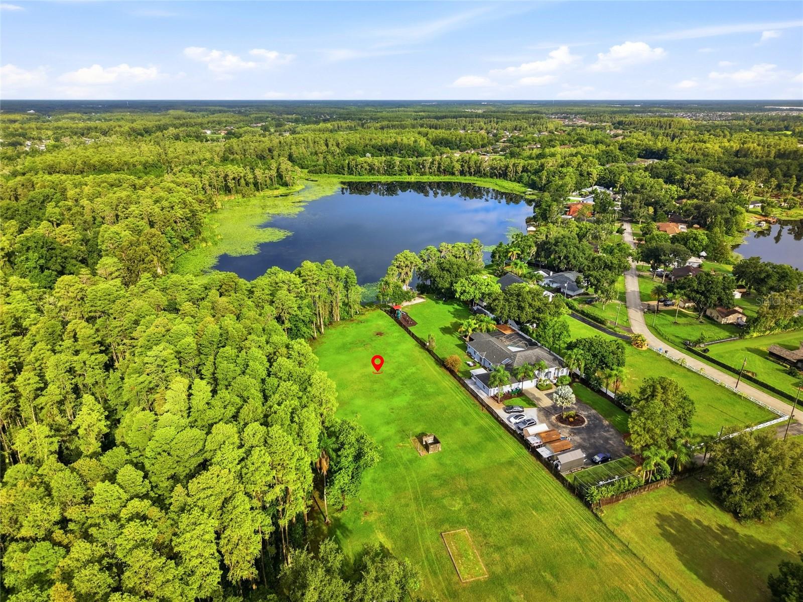 19218 BLOUNT ROAD, Lutz, FL 33558