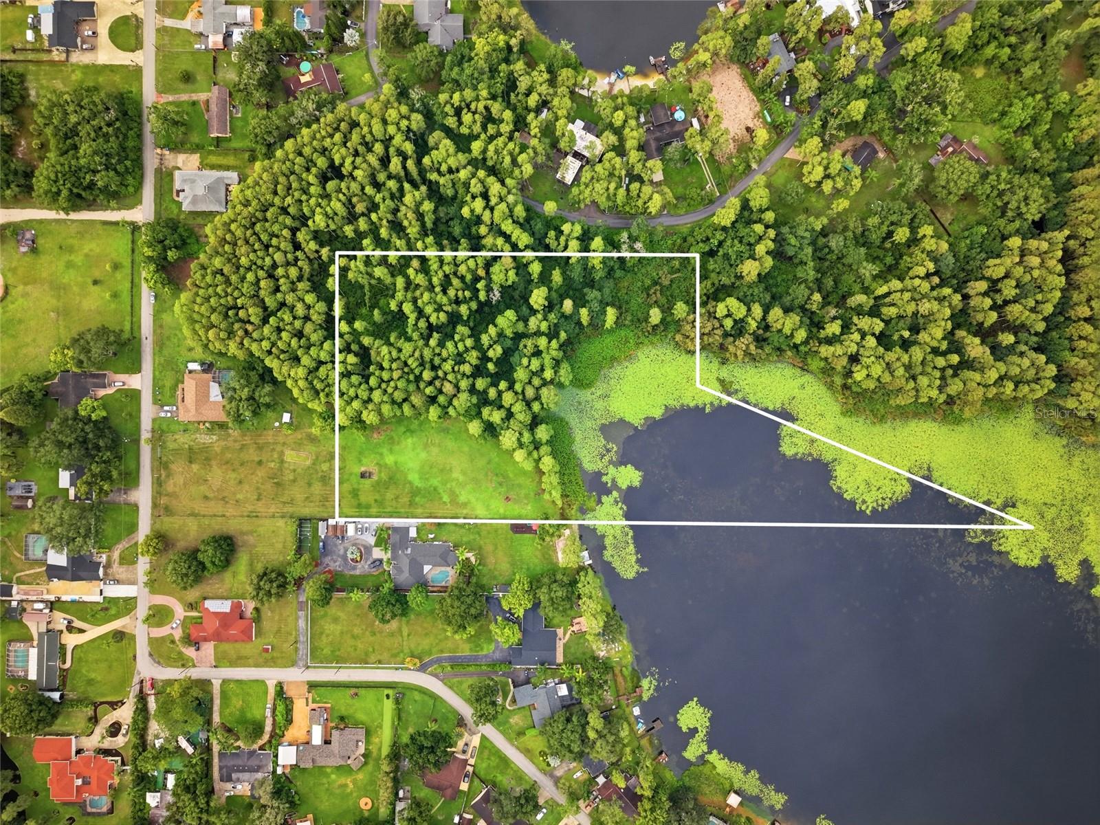 19218 BLOUNT ROAD, Lutz, FL 33558