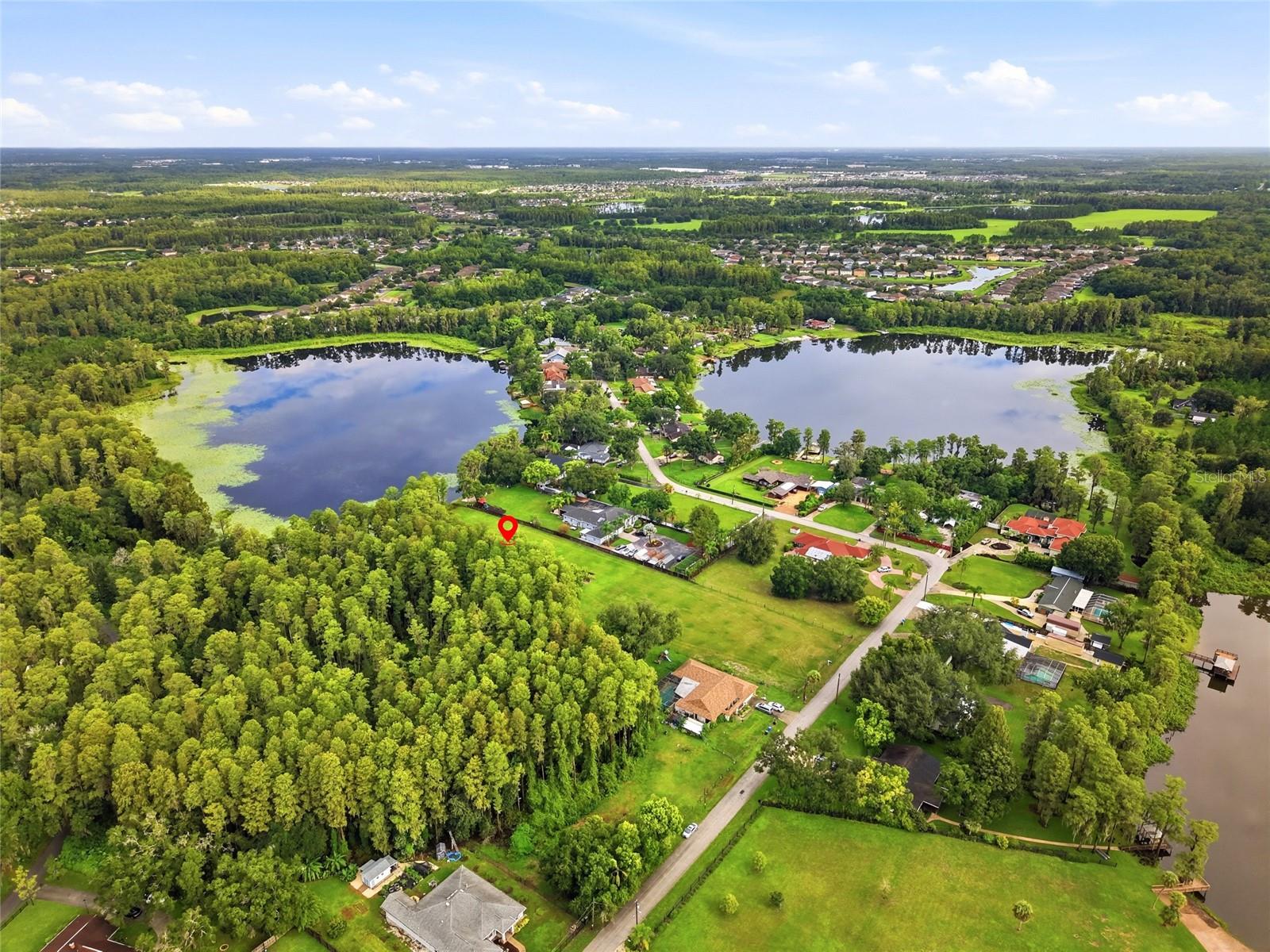 19218 BLOUNT ROAD, Lutz, FL 33558