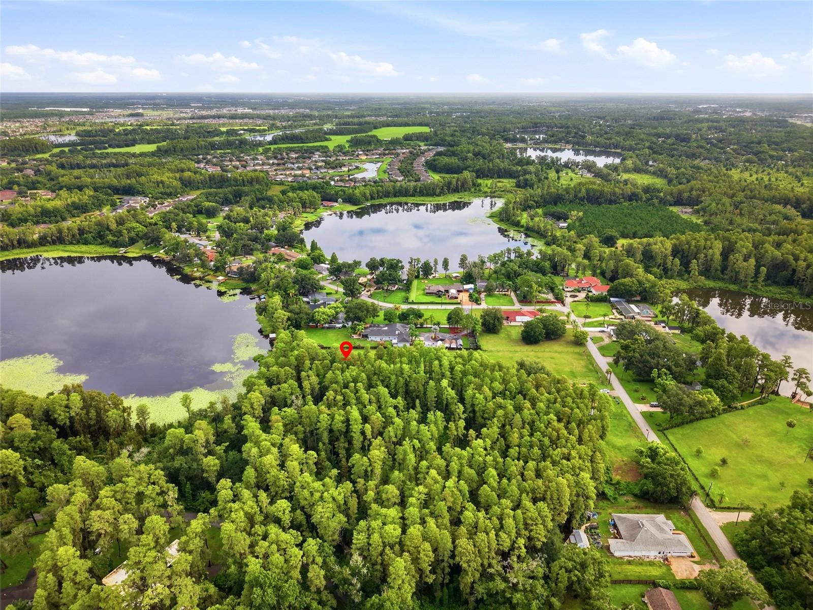 19218 BLOUNT ROAD, Lutz, FL 33558