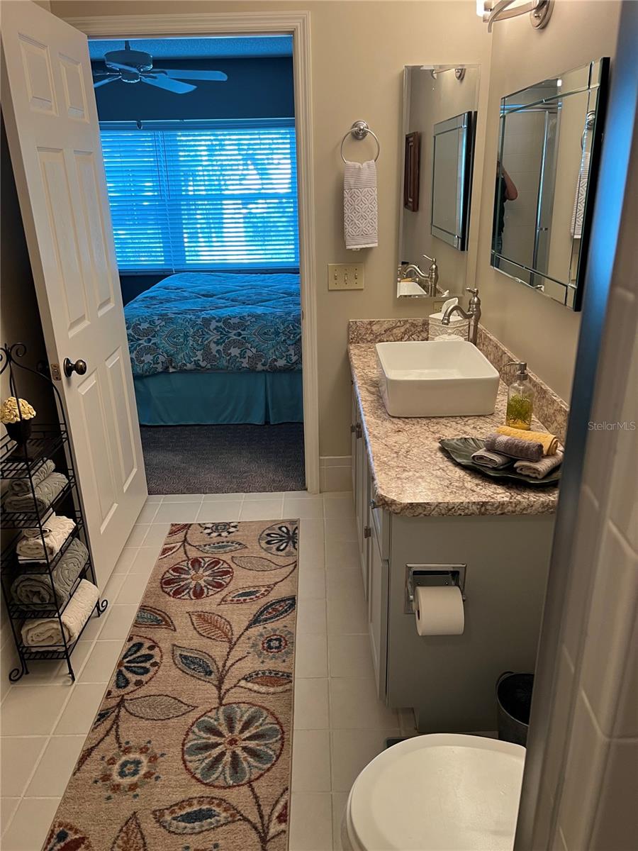 Master/Primary bath looking out from shower