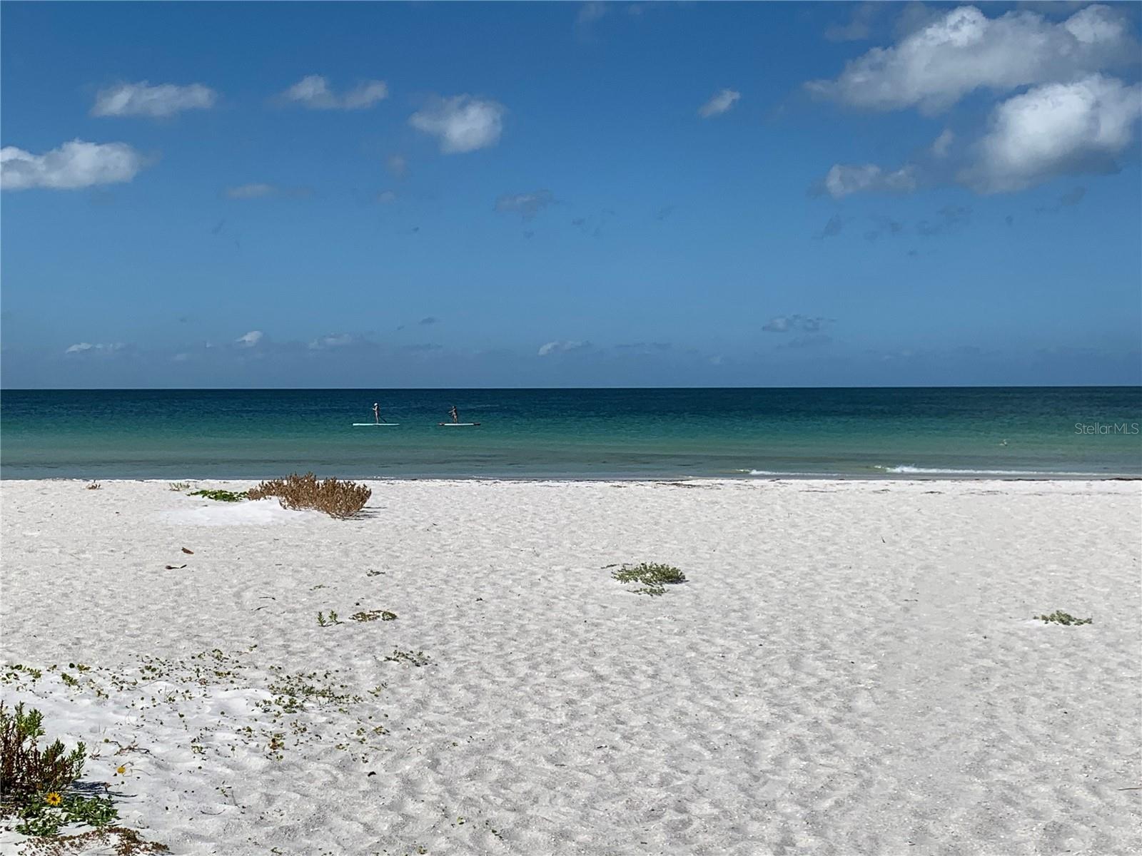 7910 SUN ISLAND DRIVE S, #203, South Pasadena, FL 33707