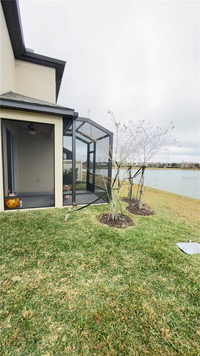 2501 STAPLEFORD PLACE, Wesley Chapel, FL 33543
