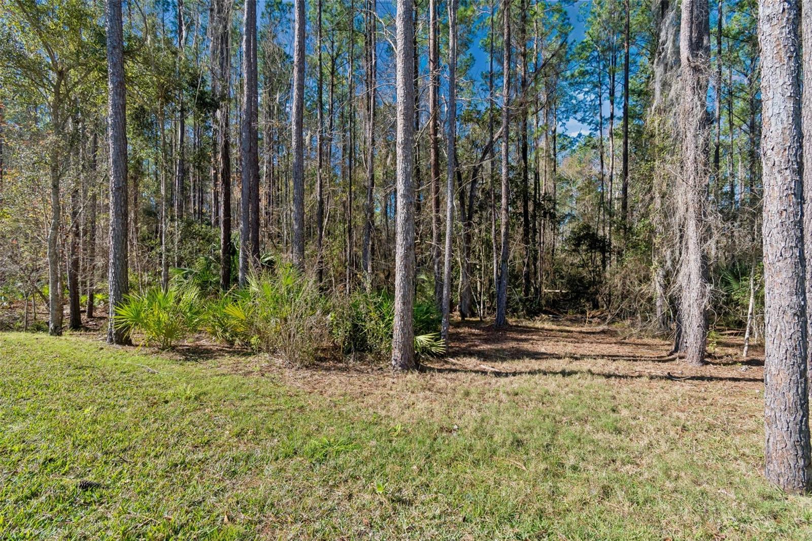 4905 MAJESTIC HILLS LOOP, Brooksville, FL 34601