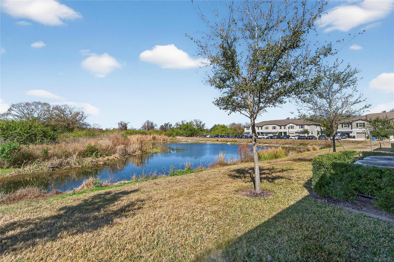 15519 PRESTWICK ROSE PLACE, Sun City Center, FL 33573