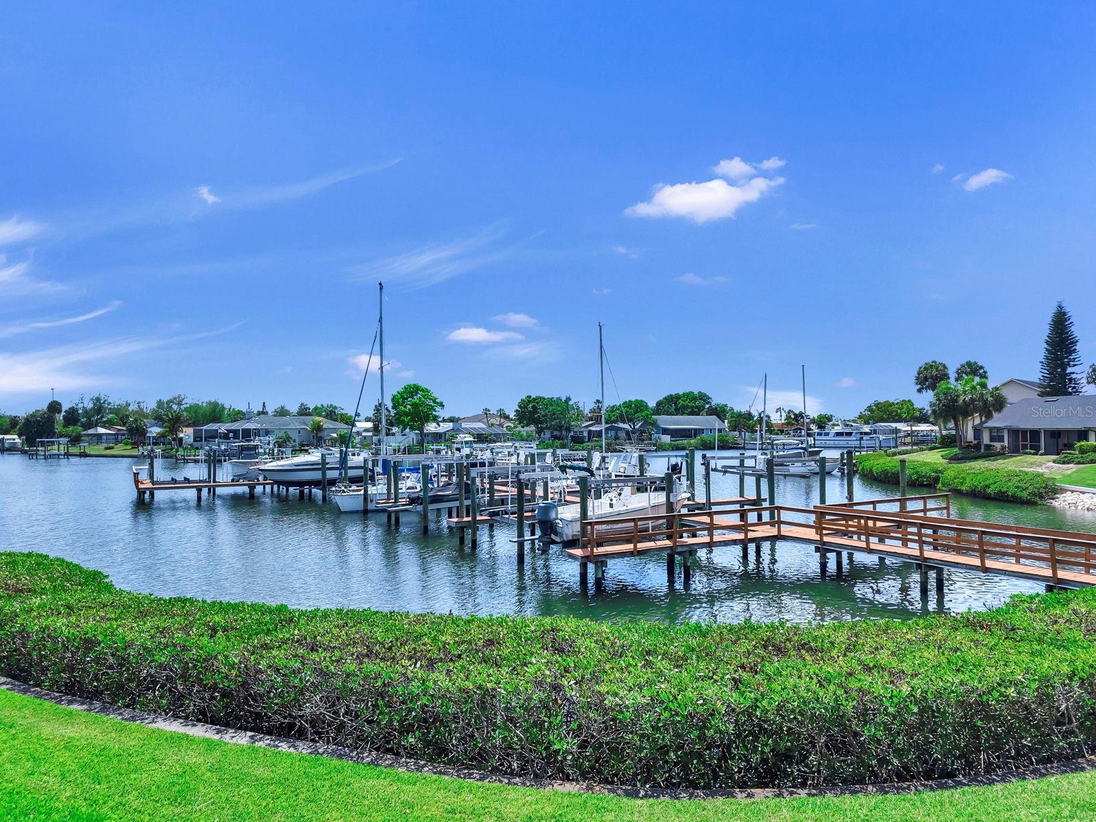 Backyard/Docks