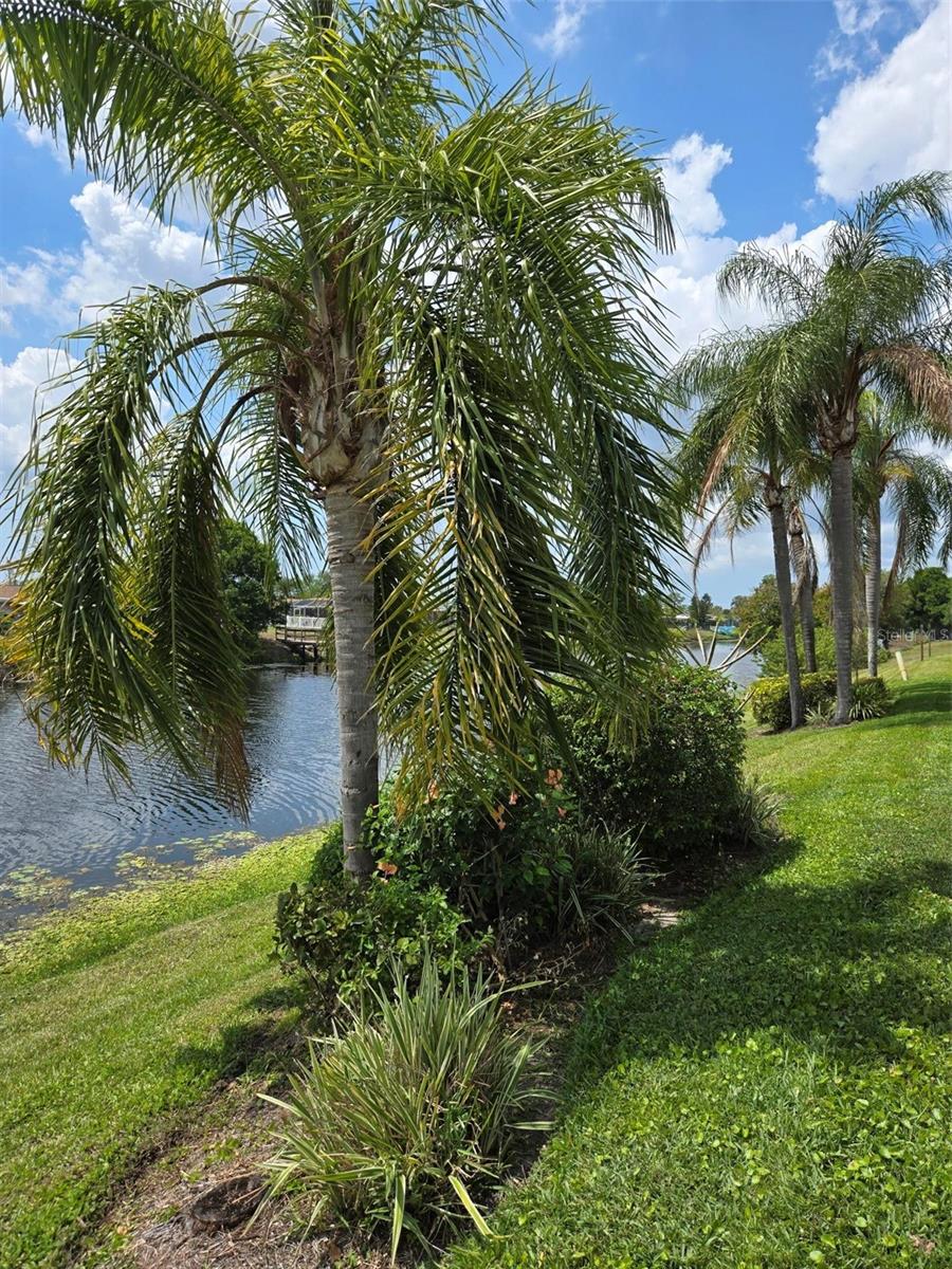 5725 GREENWOOD AVENUE, #5201, North Port, FL 34287