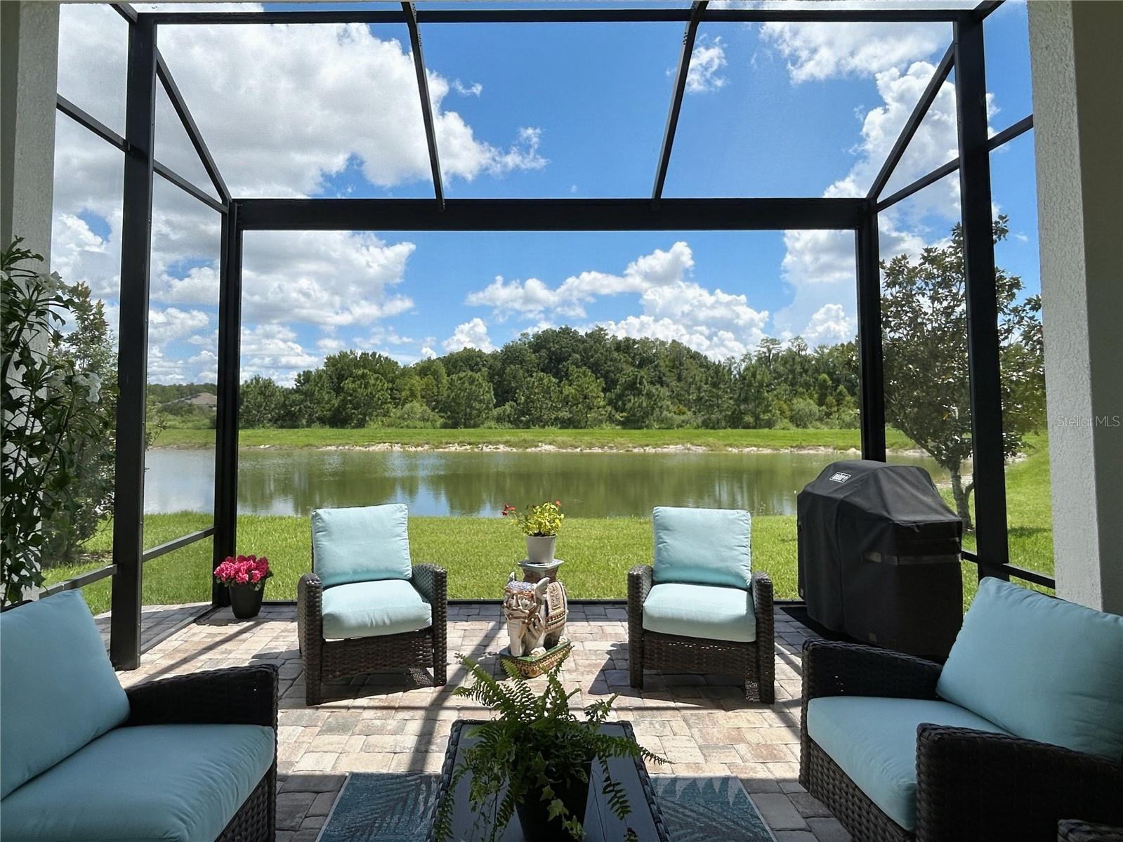 Lanai with Panoramic screen
