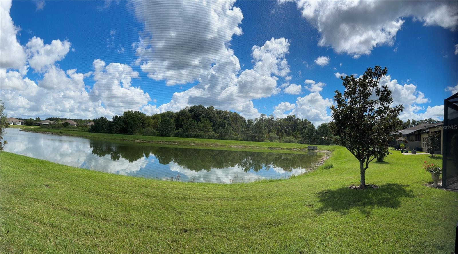 Pond and Conservation view