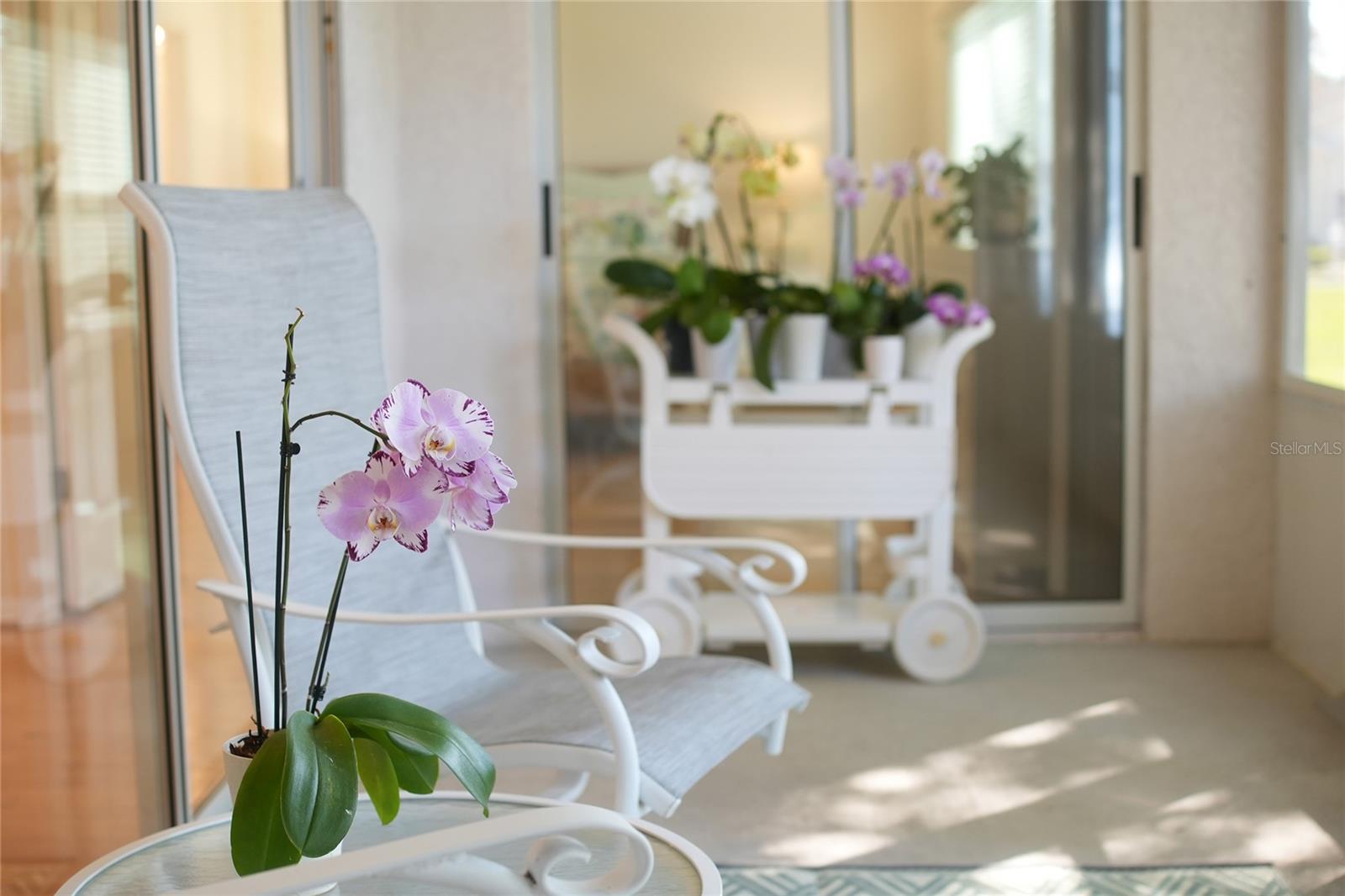 FLORIDA ROOM