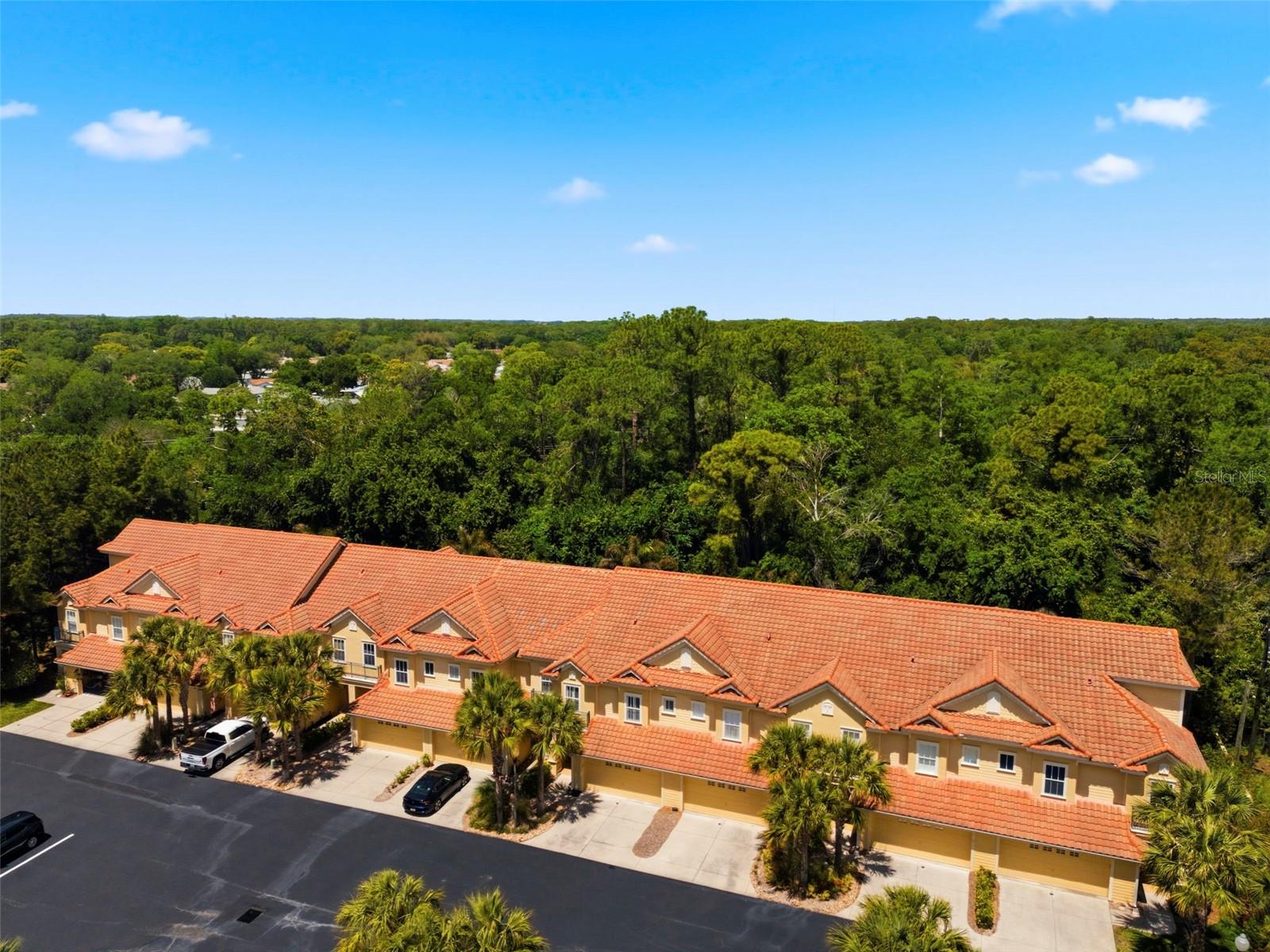 2670 TANGLEWOOD TRAIL, Palm Harbor, FL 34685
