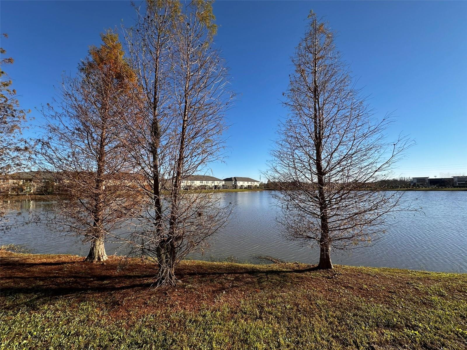 29850 SOUTHWELL LANE, Wesley Chapel, FL 33543
