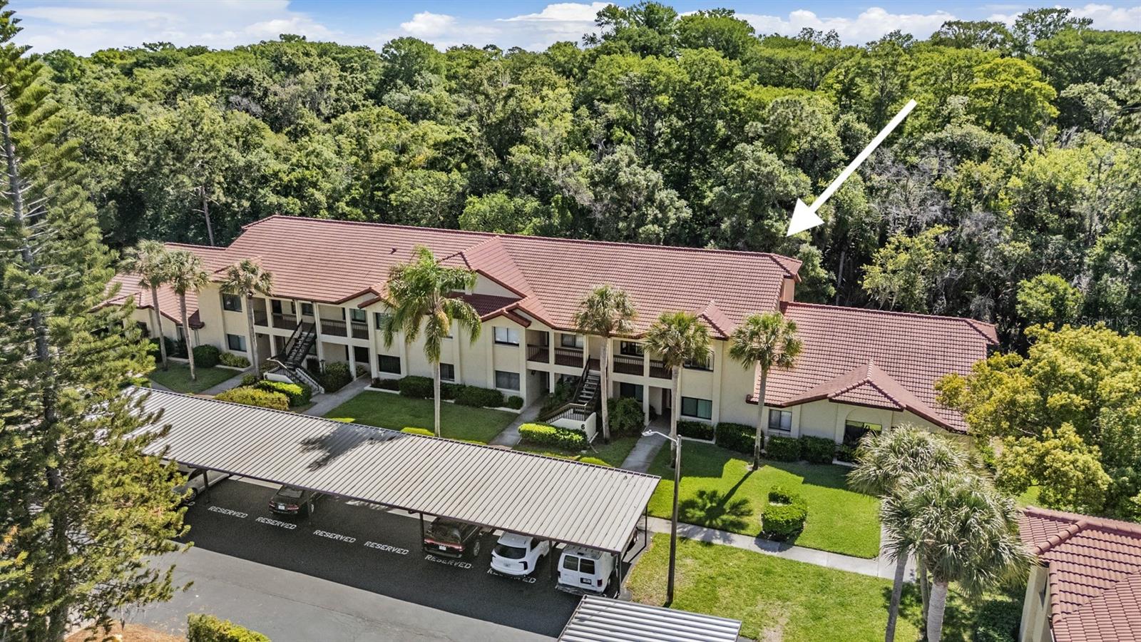 1801 E LAKE ROAD, #6J, Palm Harbor, FL 34685