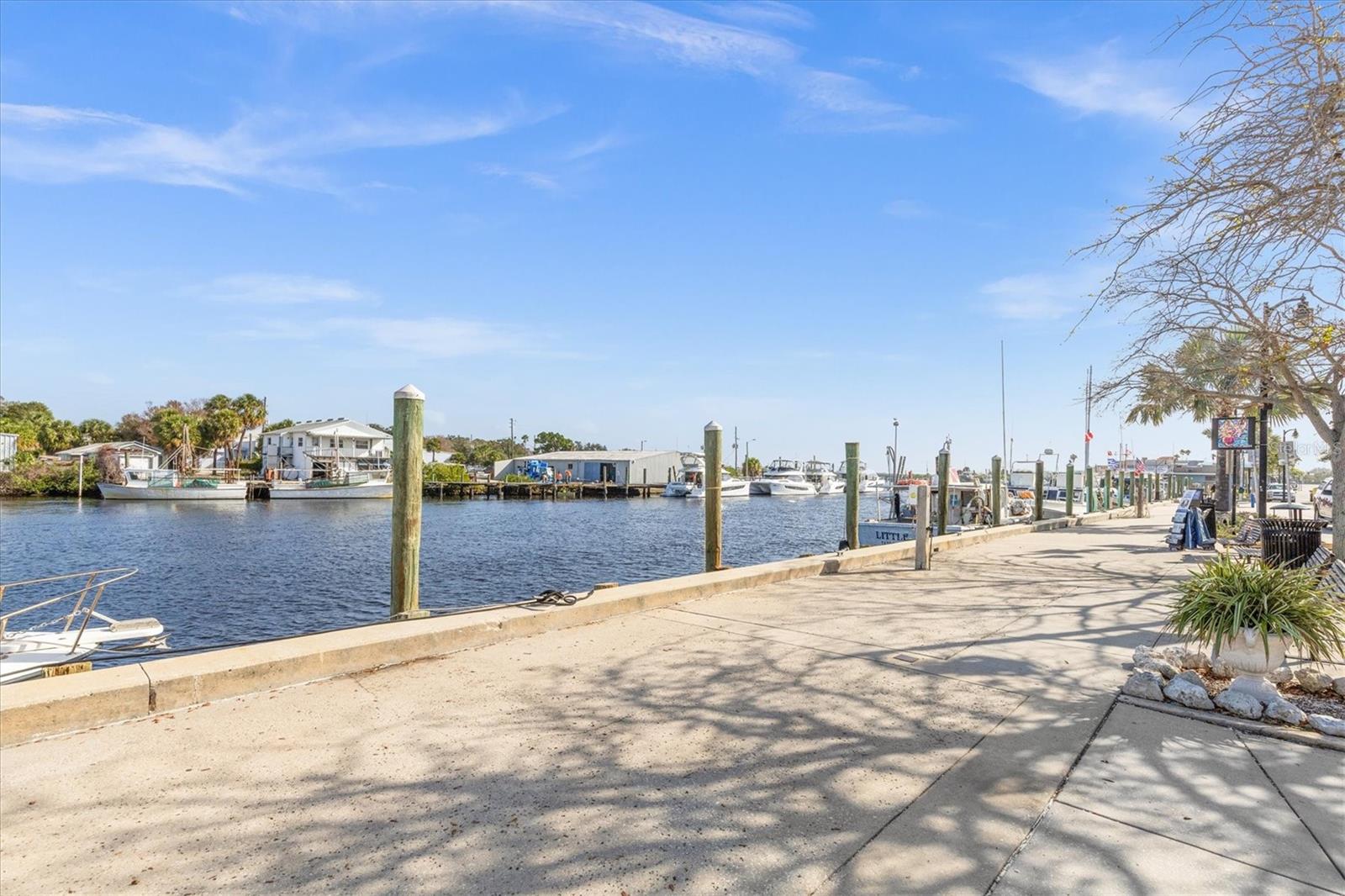 721 BAYSHORE DRIVE, Tarpon Springs, FL 34689