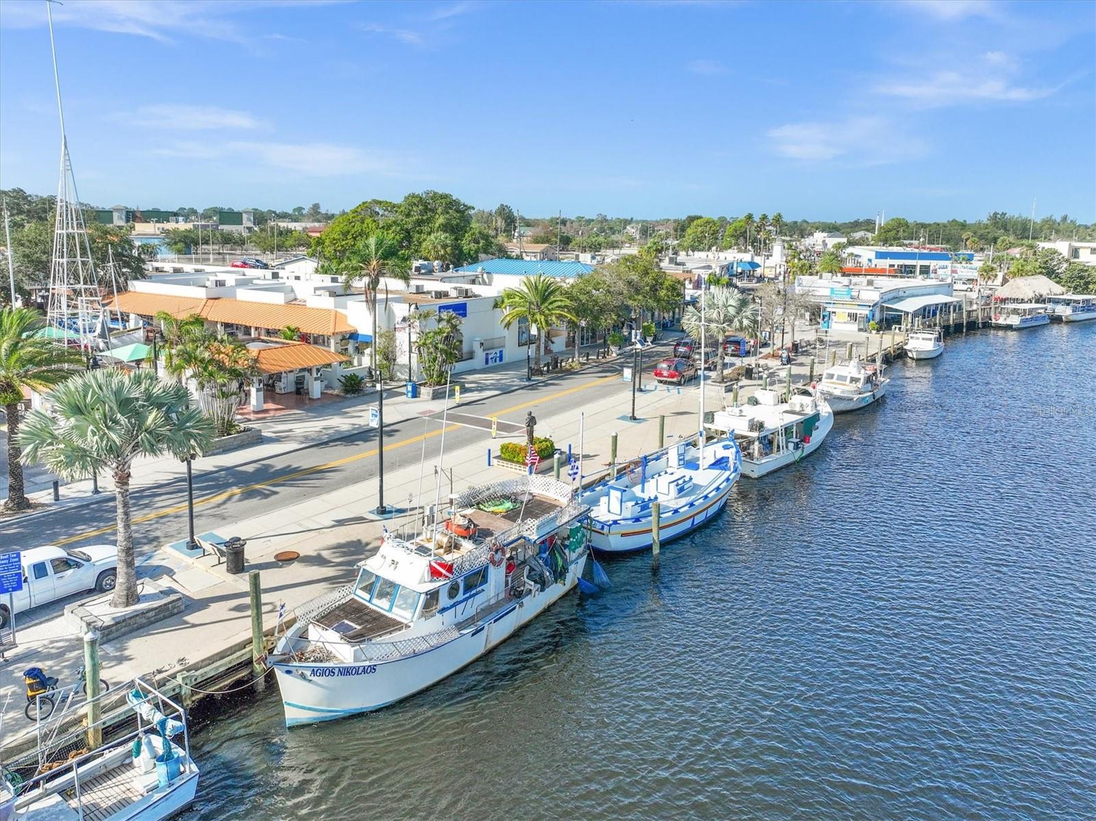 721 BAYSHORE DRIVE, Tarpon Springs, FL 34689