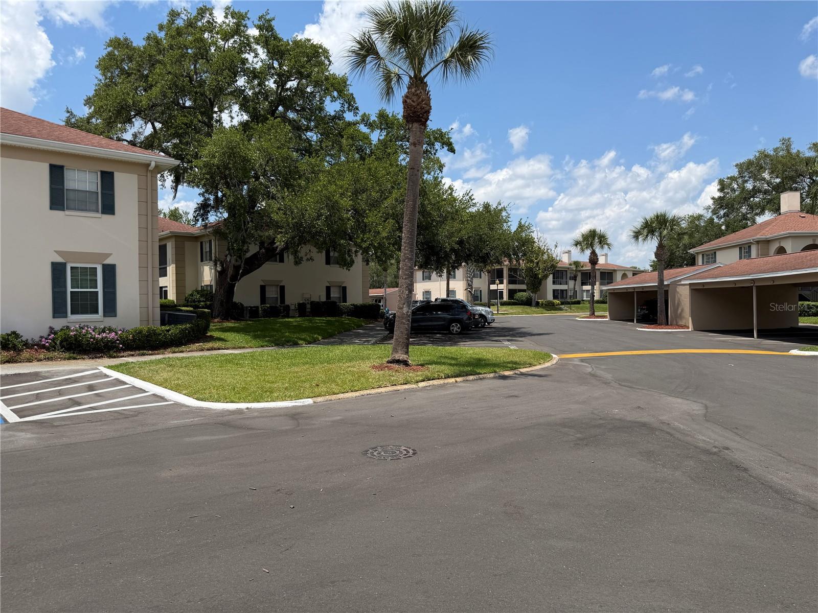 10335 CARROLLWOOD LANE, #116, Tampa, FL 33618