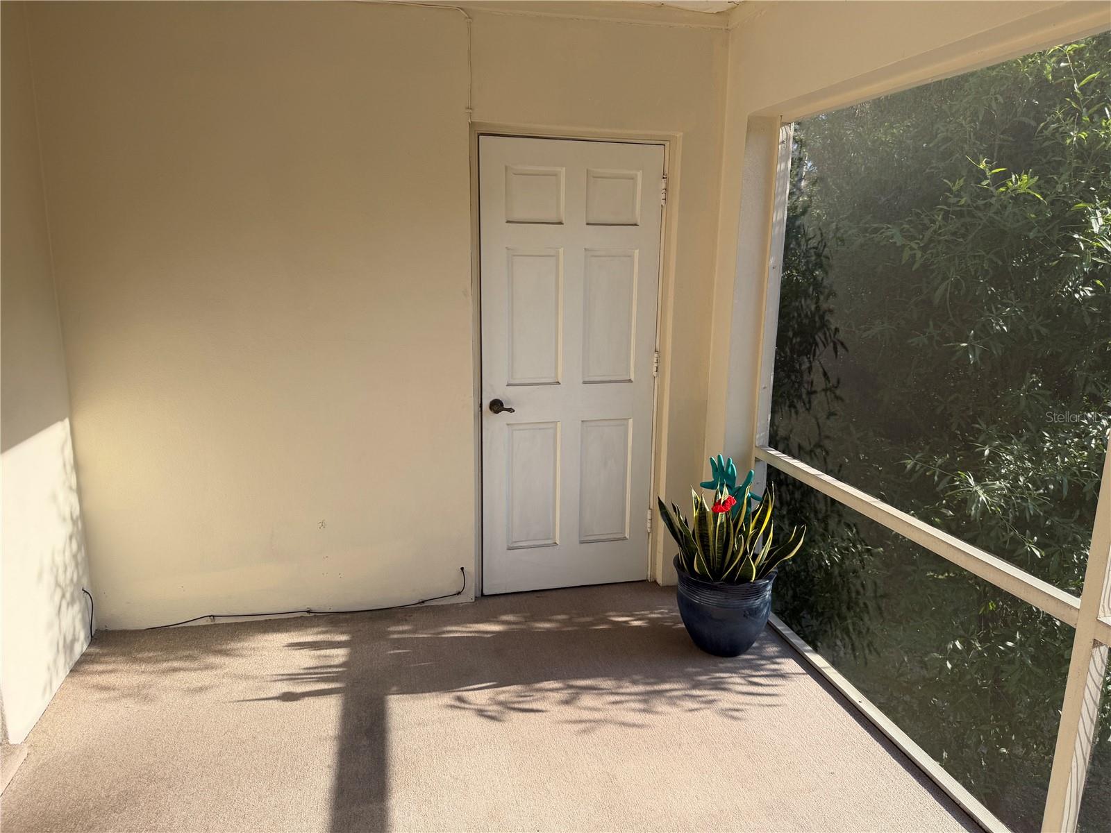 10335 CARROLLWOOD LANE, #116, Tampa, FL 33618
