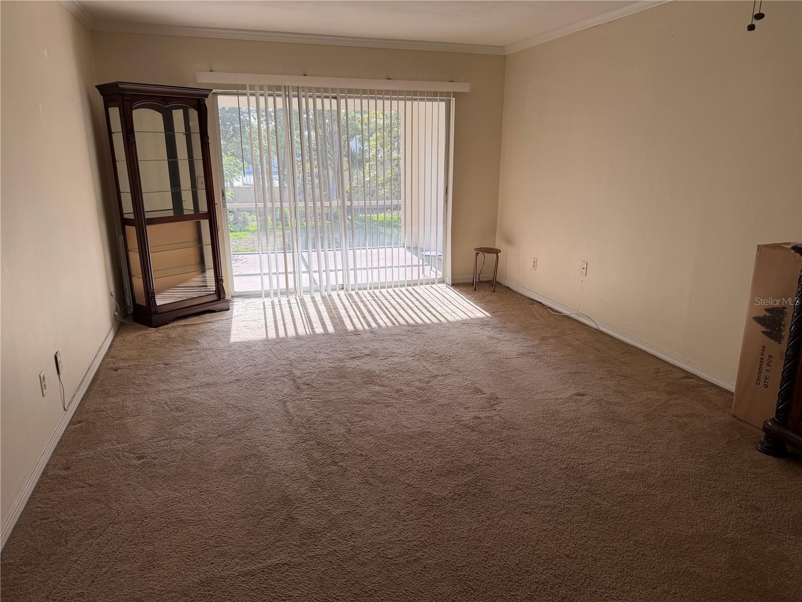 10335 CARROLLWOOD LANE, #116, Tampa, FL 33618