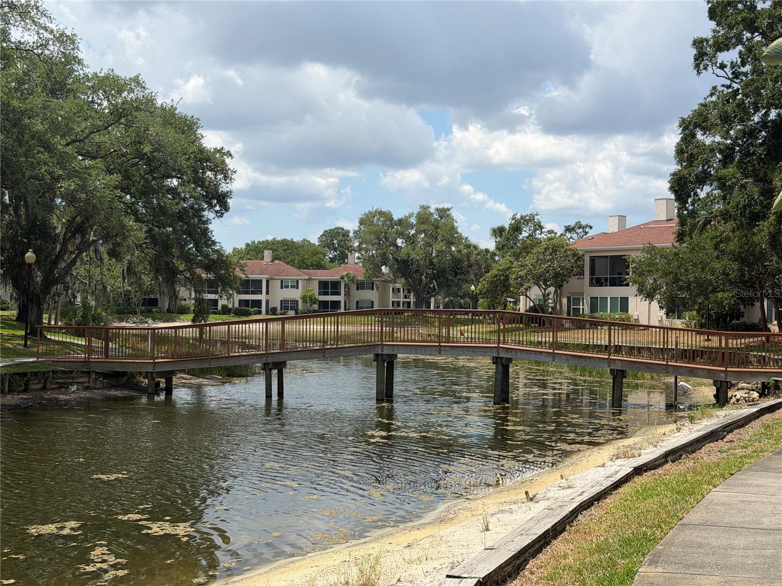 10335 CARROLLWOOD LANE, #116, Tampa, FL 33618