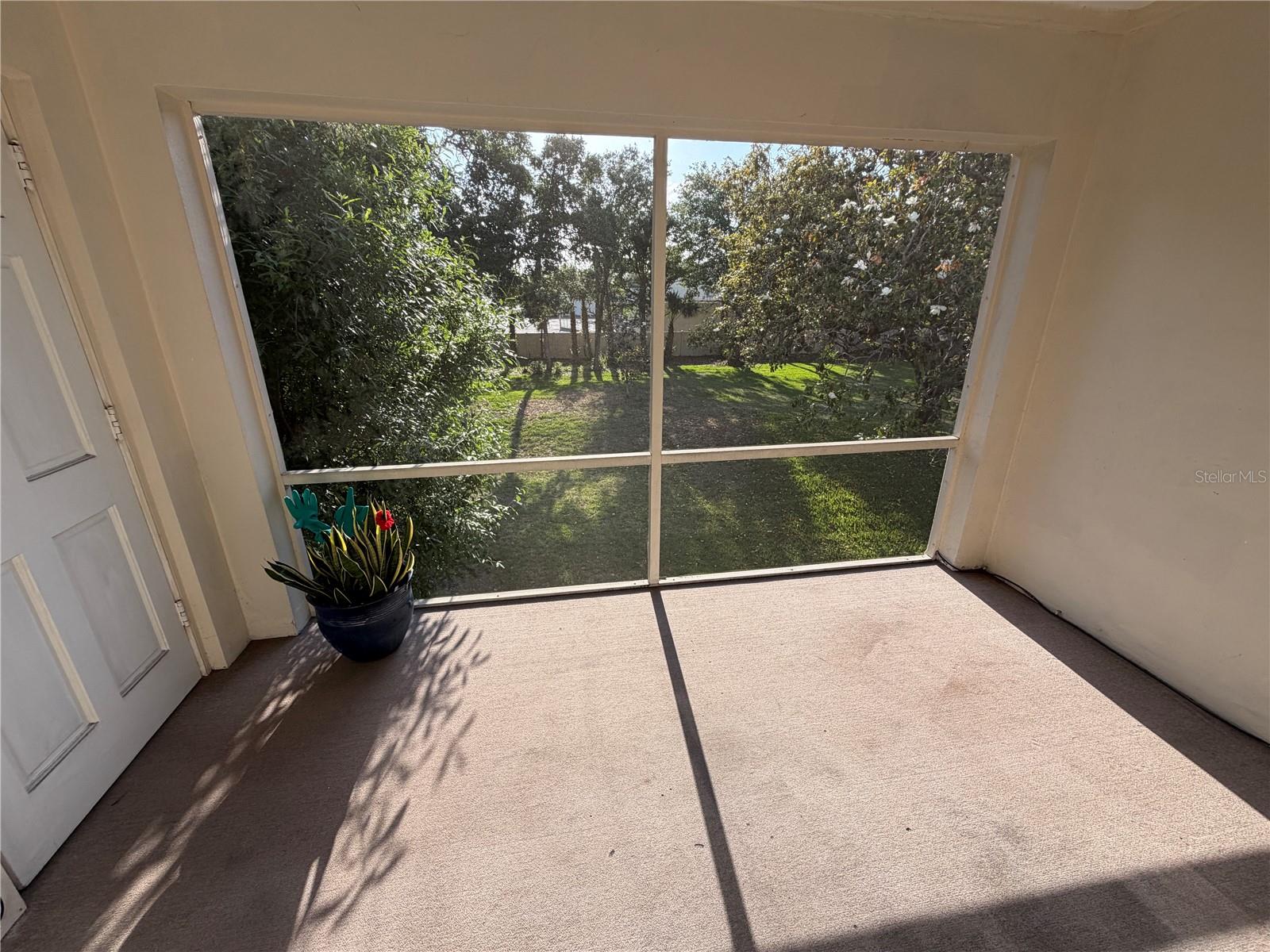 10335 CARROLLWOOD LANE, #116, Tampa, FL 33618