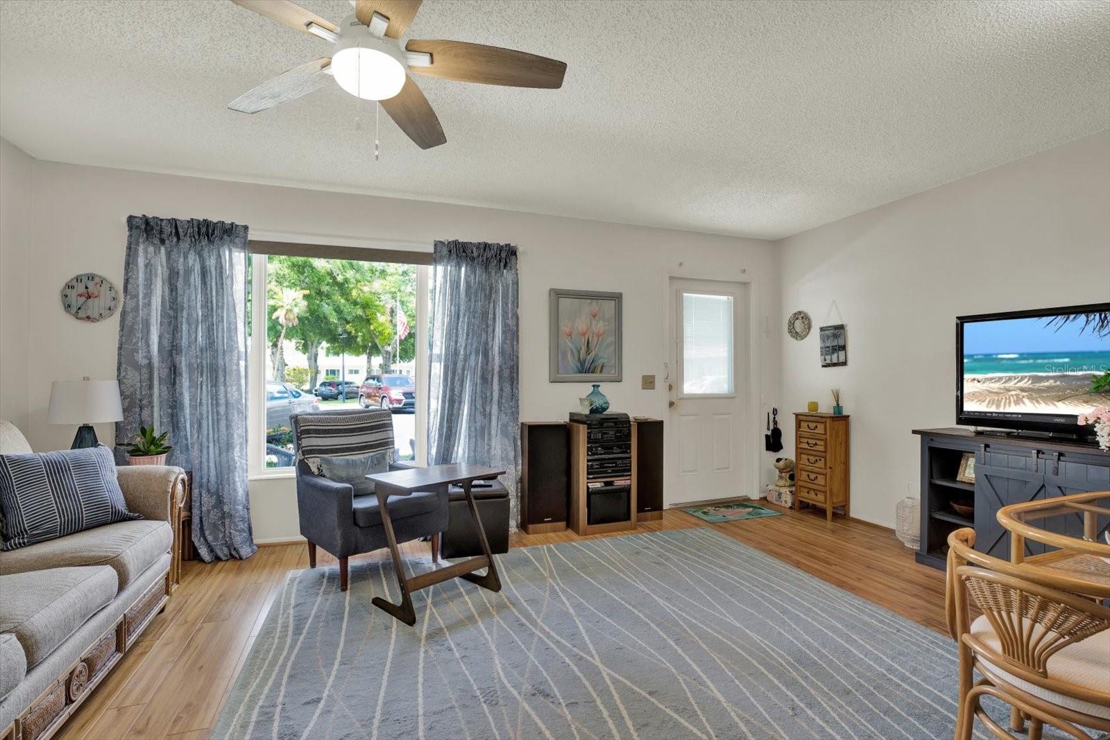 Bright-Living-Room-Large-Window-Natural-Light-Wood-Floors-Clearwater-FL