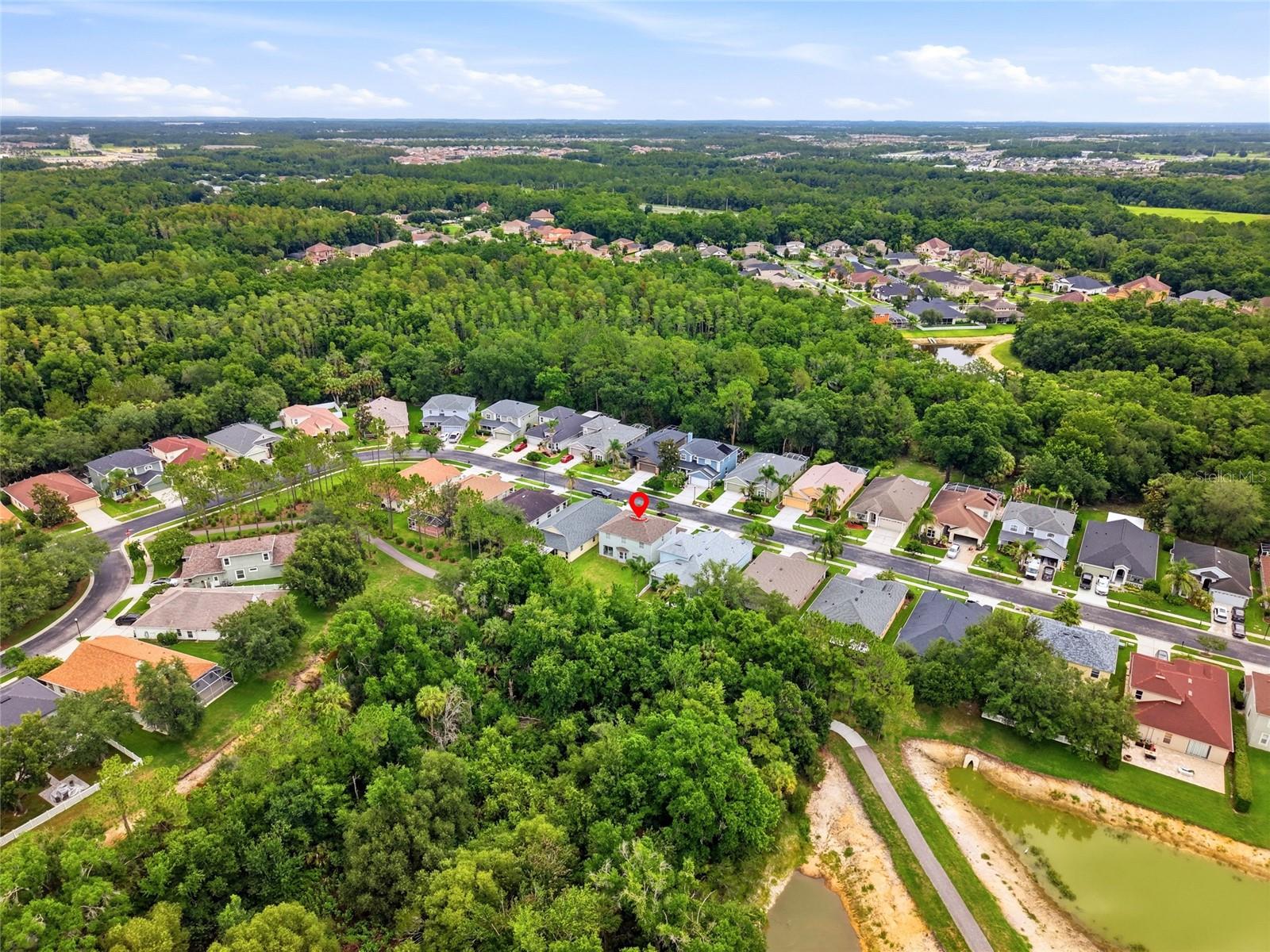 3203 SUNWATCH DRIVE, Wesley Chapel, FL 33544