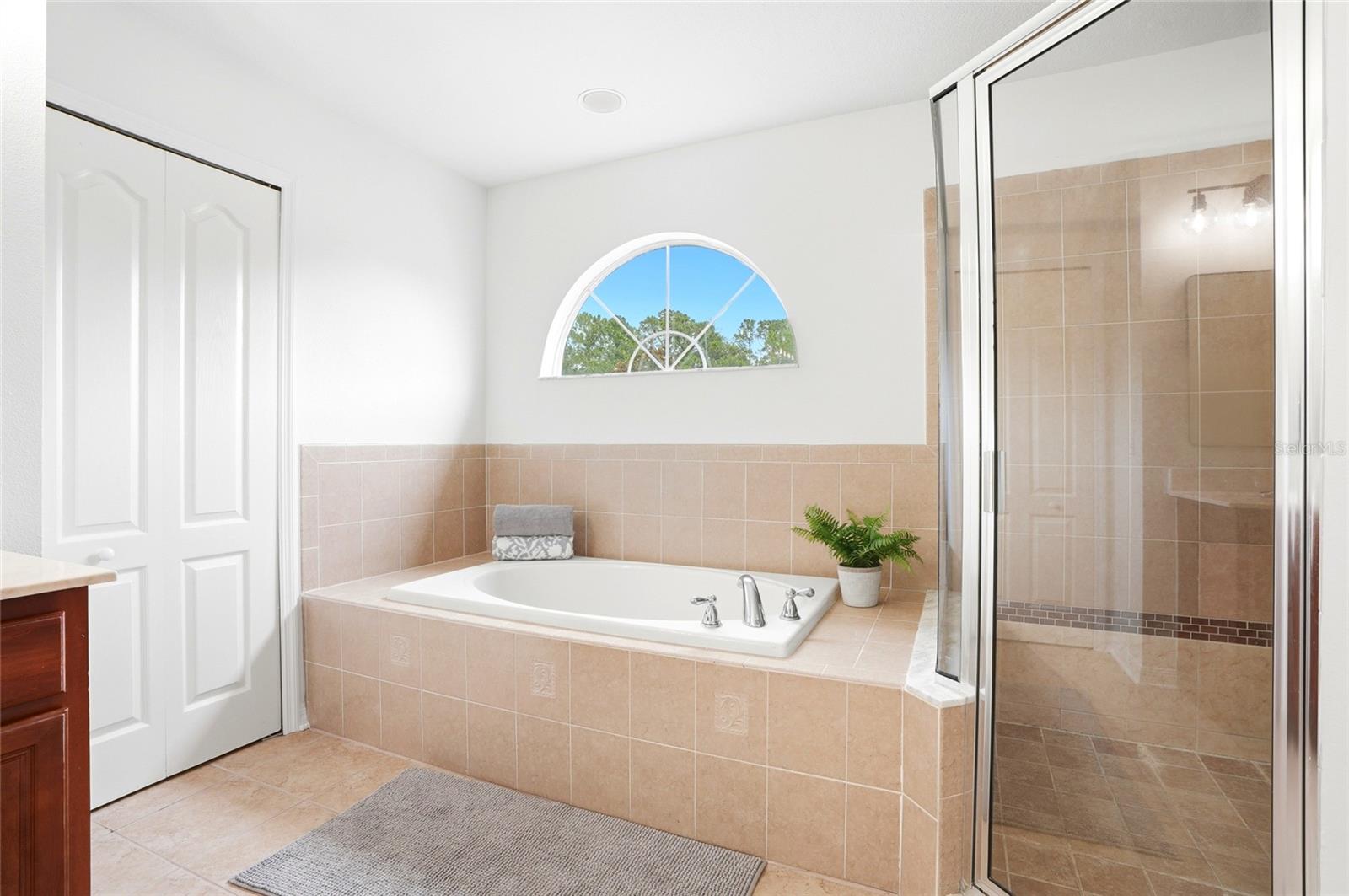 3203 SUNWATCH DRIVE, Wesley Chapel, FL 33544