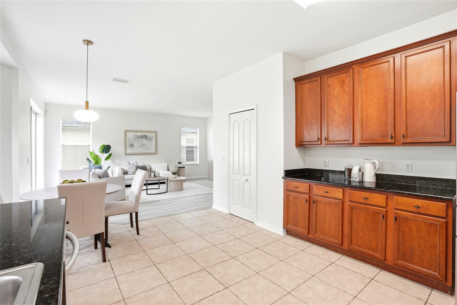 3203 SUNWATCH DRIVE, Wesley Chapel, FL 33544