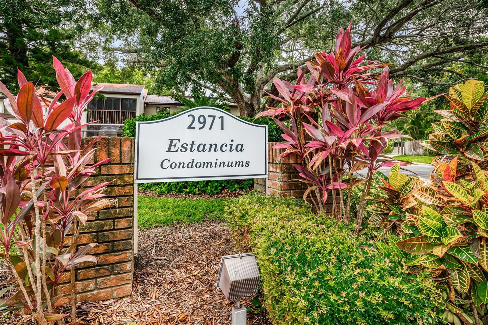 2971 ESTANCIA BOULEVARD, #412, Clearwater, FL 33761