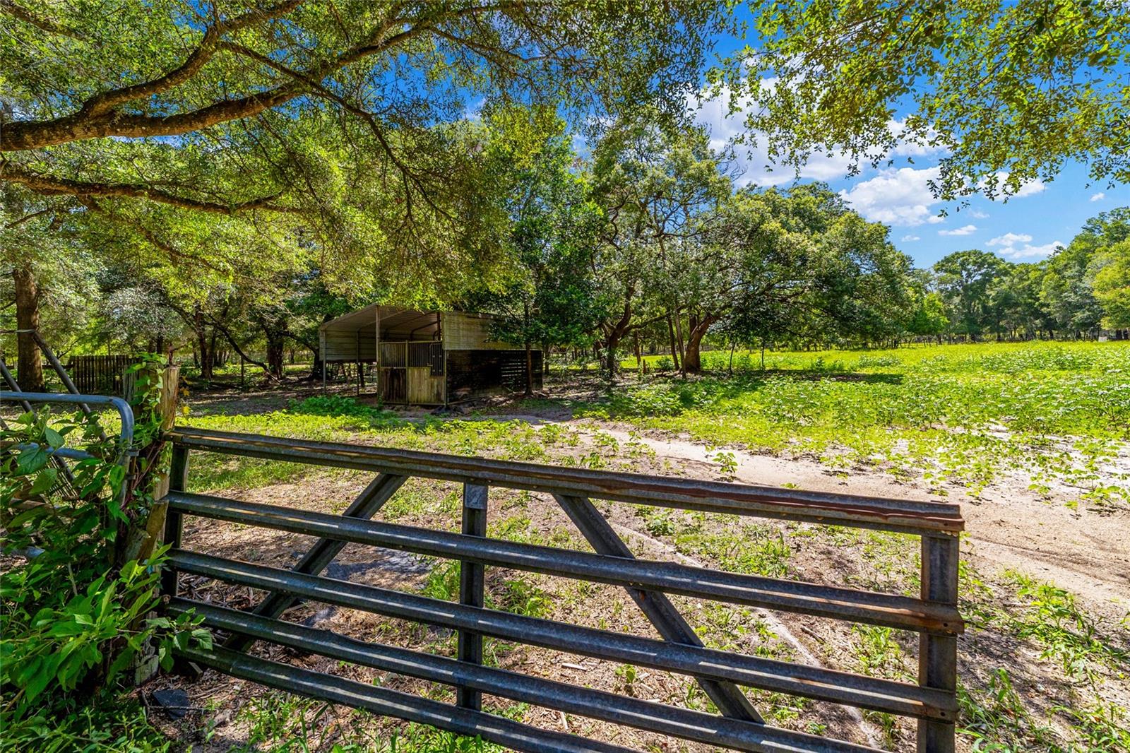 11768 N GATLEN AVENUE, Dunnellon, FL 34433