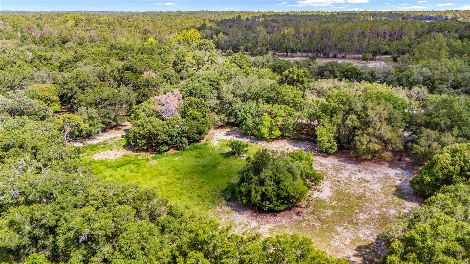 11768 N GATLEN AVENUE, Dunnellon, FL 34433