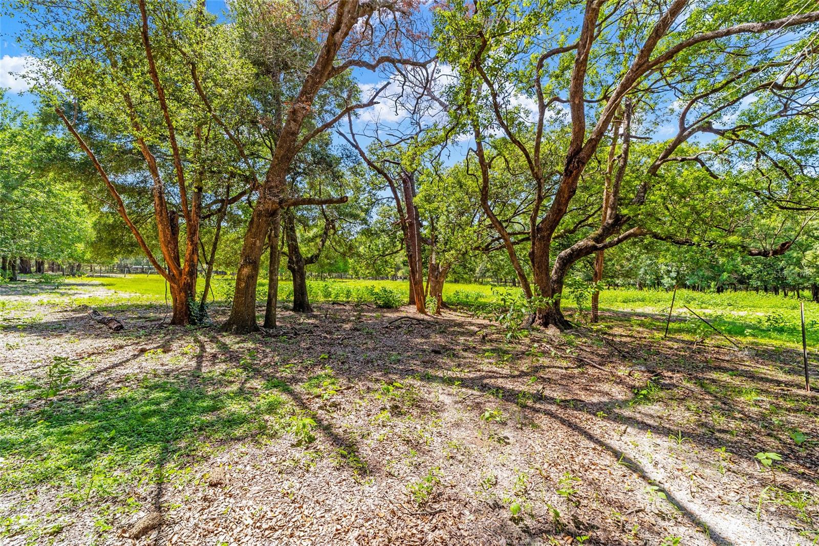 11768 N GATLEN AVENUE, Dunnellon, FL 34433