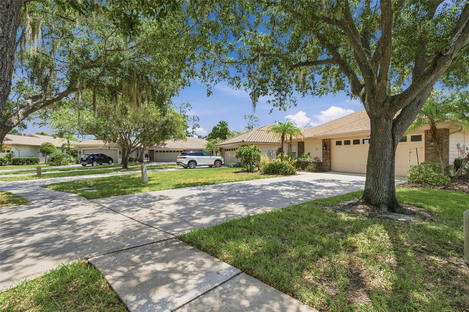 1469 RIVERDALE DRIVE, Oldsmar, FL 34677