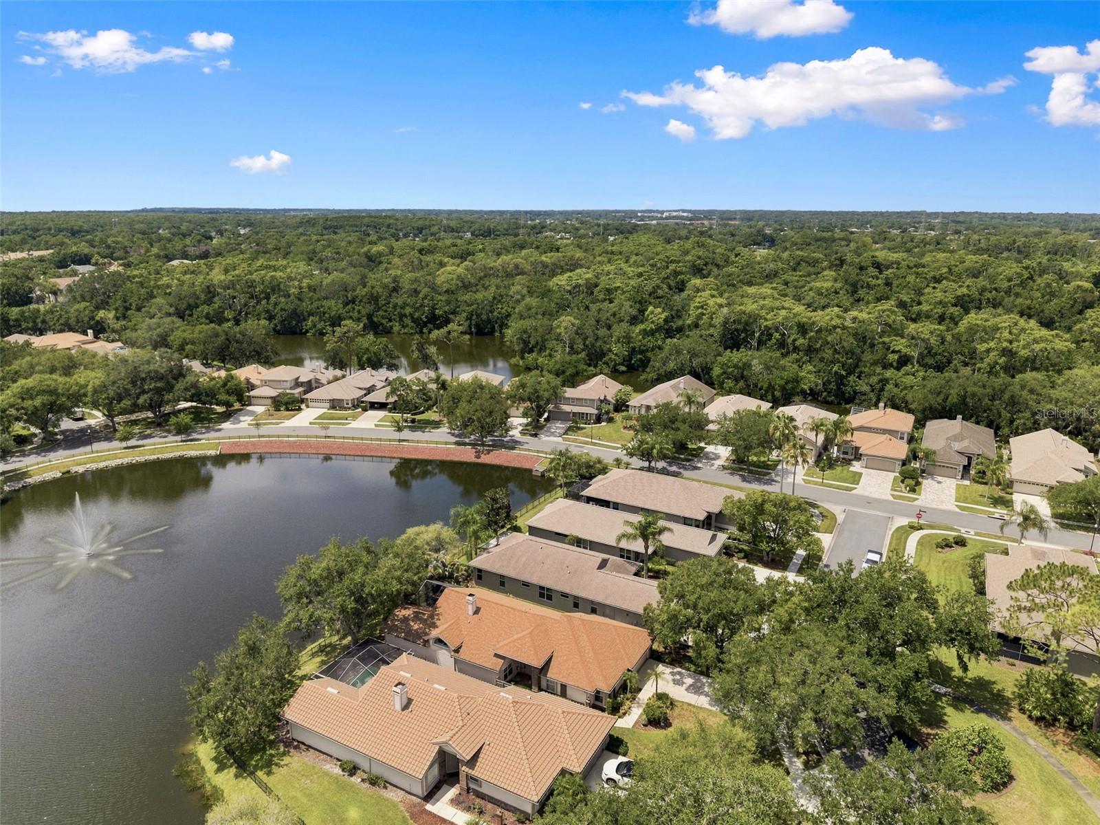 1469 RIVERDALE DRIVE, Oldsmar, FL 34677