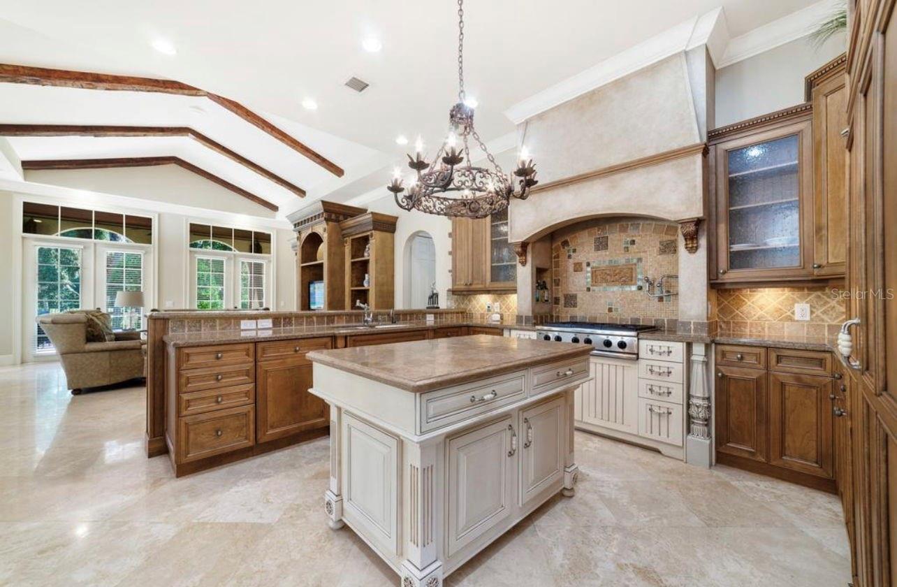 234 ACADIA TERRACE, Celebration, FL 34747 234 ACADIA TERRACE, Celebration, FL 34747
