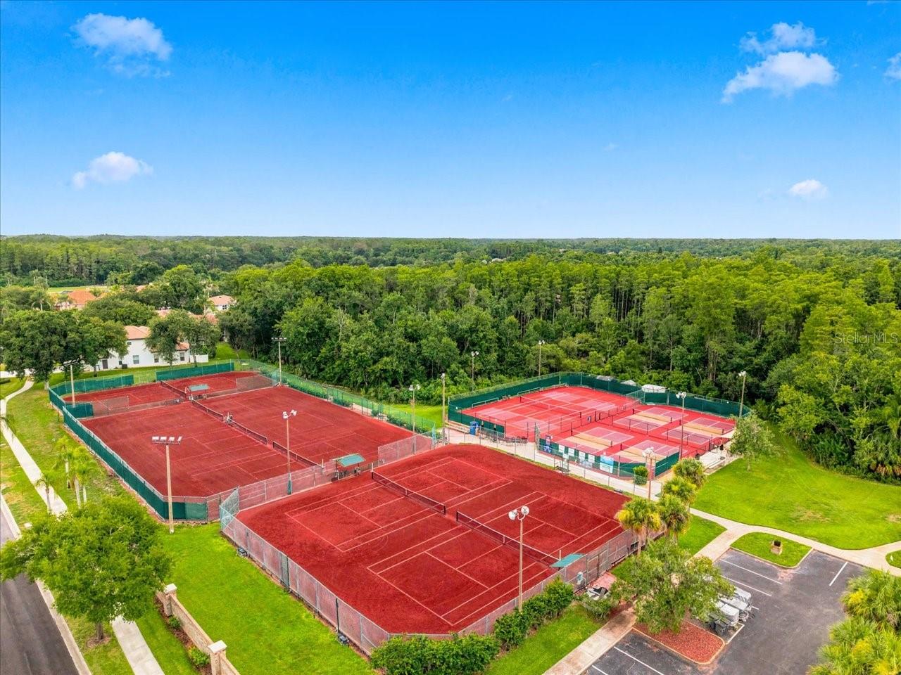 1333 LINDENWOOD DRIVE, Tarpon Springs, FL 34688