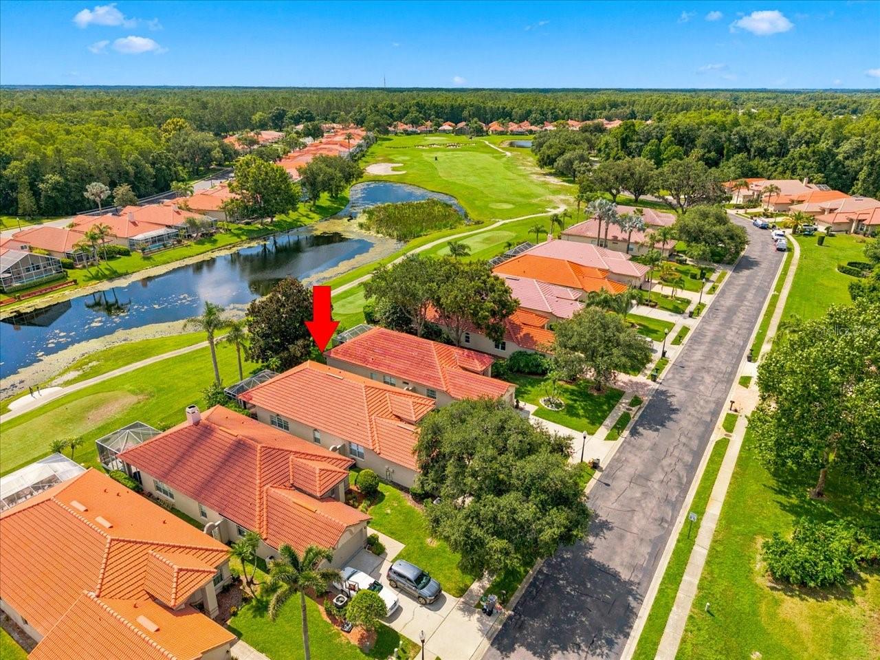 1333 LINDENWOOD DRIVE, Tarpon Springs, FL 34688