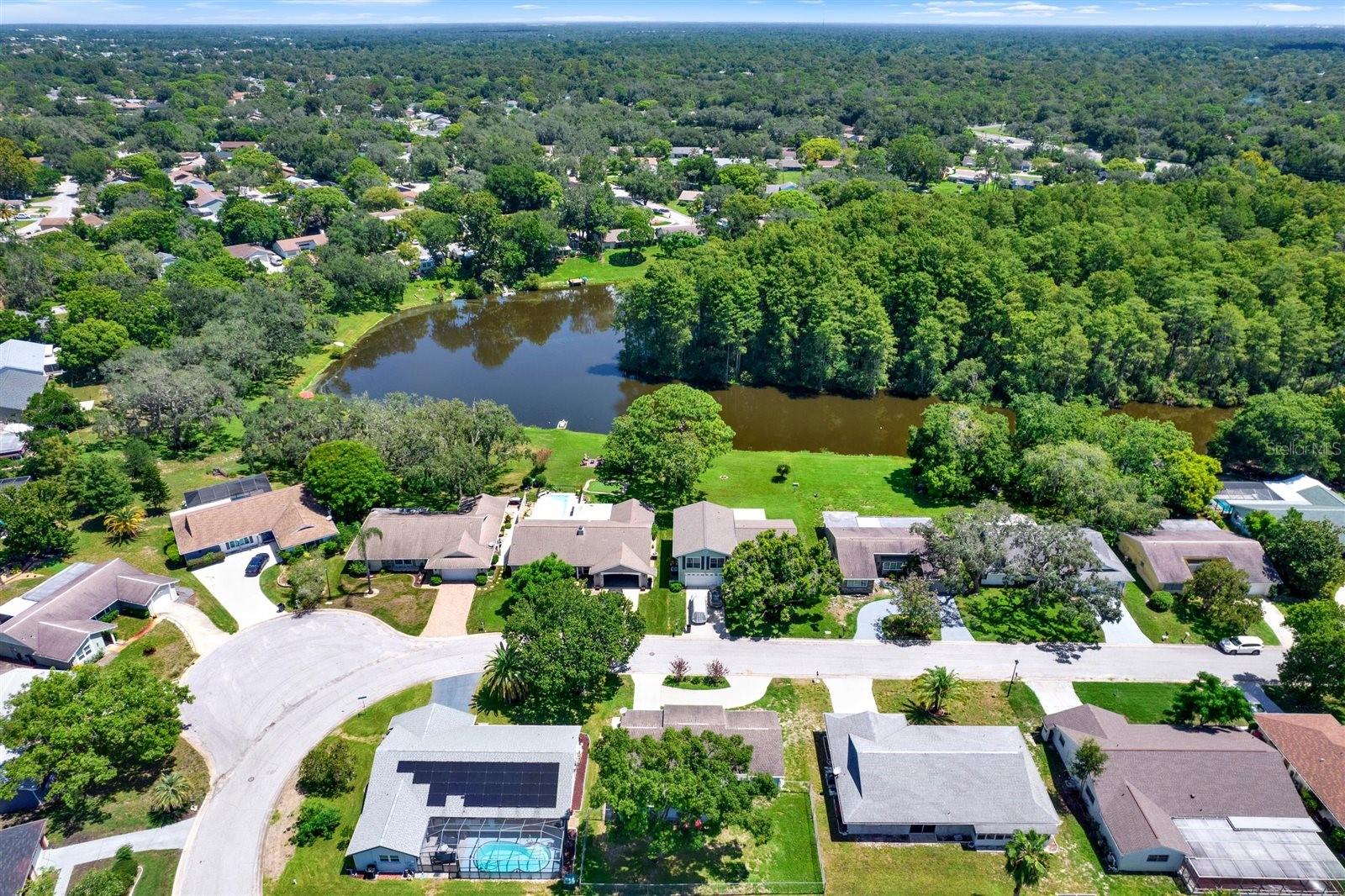 12411 WEATHERSTONE ROW, Hudson, FL 34667