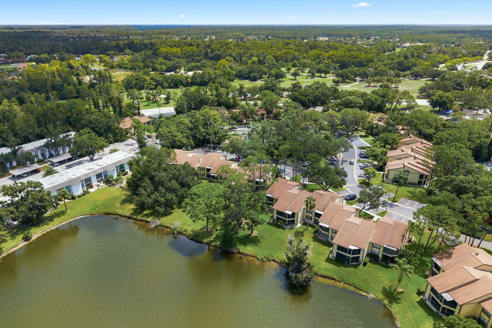 Aerial
