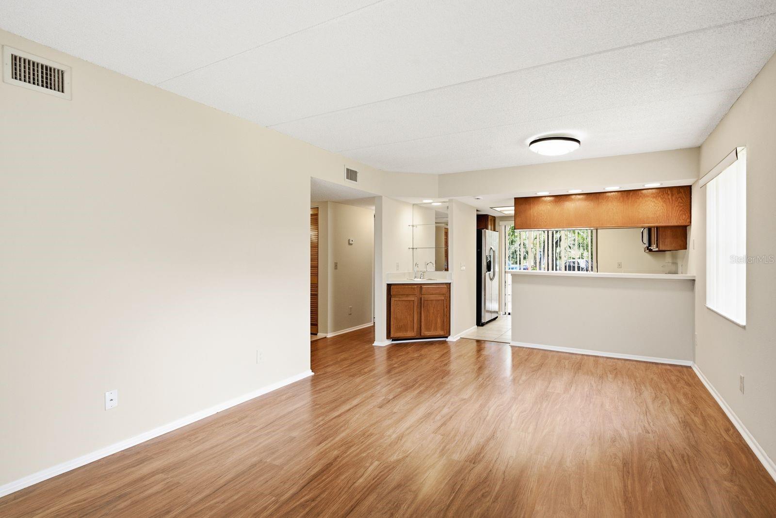 Living Room into Kitchen