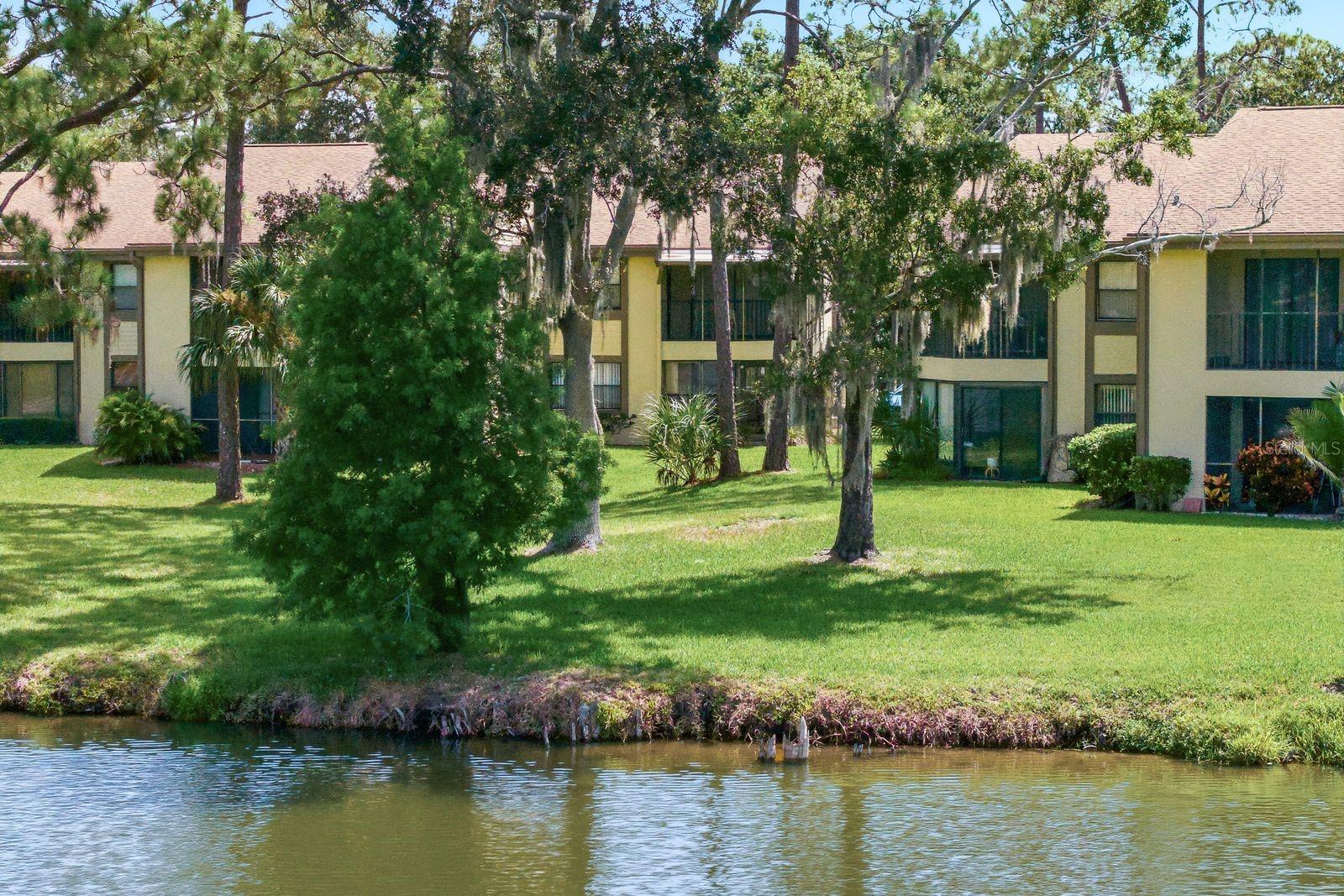 Building view from Pond