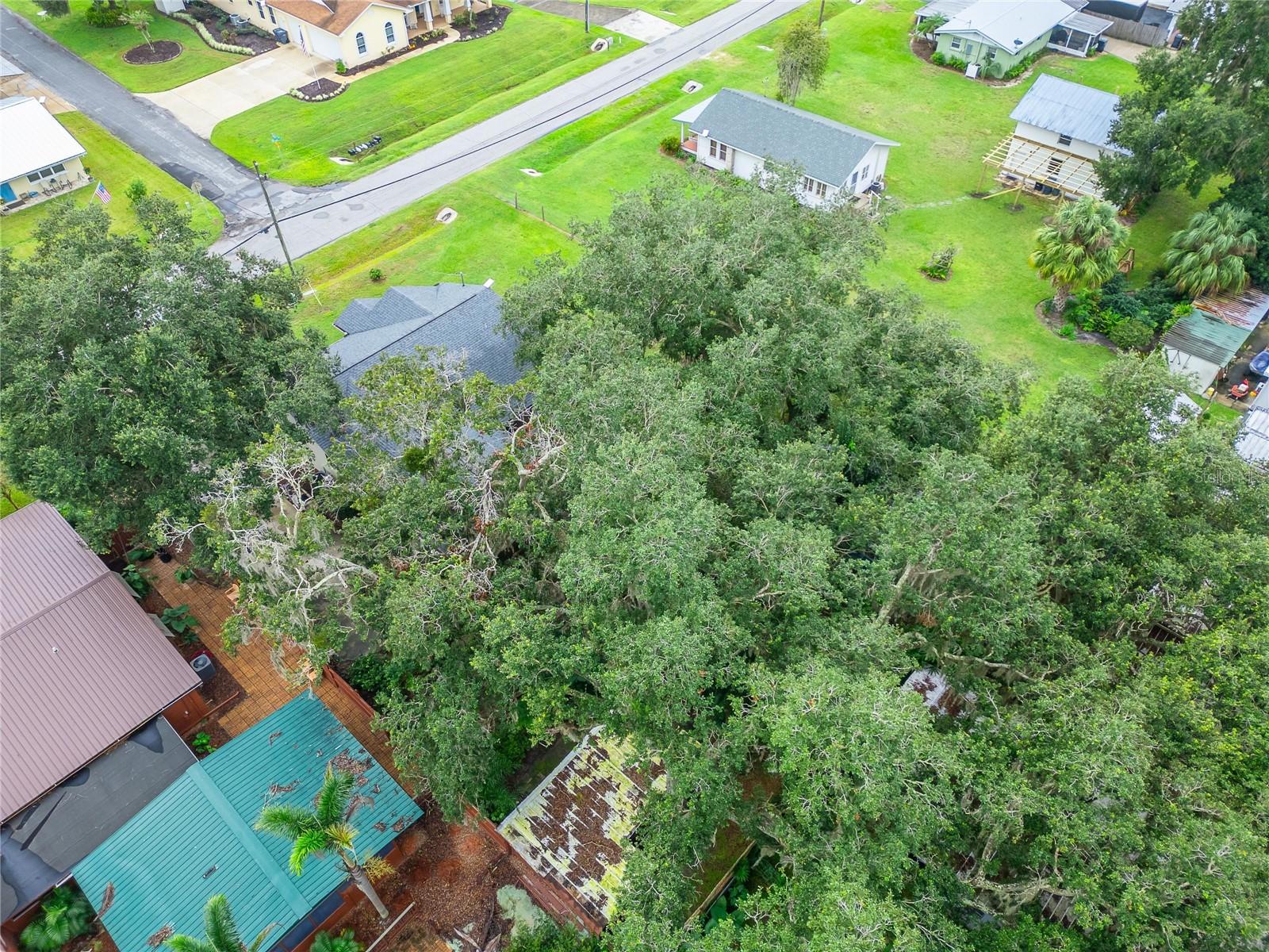 14231 REESE DRIVE, Lake Wales, FL 33898